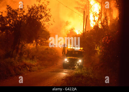 Carcaixent, Valencia, Spagna. 17 Giugno, 2016. Lo spagnolo UME combattere il fuoco, Carcaixent, Valencia, Spagna Credito: Salva Garrigues/Alamy Live News Foto Stock