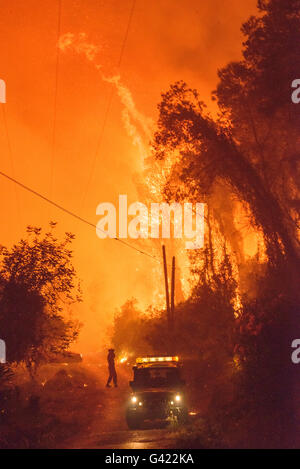 Carcaixent, Valencia, Spagna. 17 Giugno, 2016. Lo spagnolo UME combattere il fuoco, Carcaixent, Valencia, Spagna Credito: Salva Garrigues/Alamy Live News Foto Stock