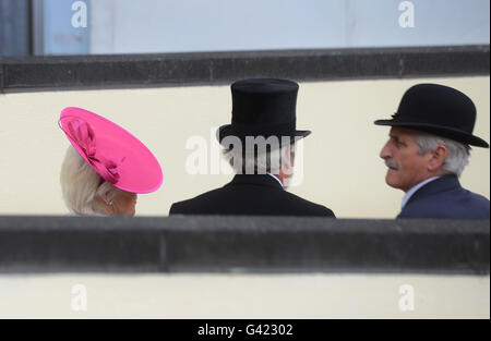 Ascot Berkshire, Regno Unito. 17 Giugno, 2016. Cappelli a Royal Ascot Venerdì 17 Giugno 2016. Credito: John Beasley/Alamy Live News Foto Stock