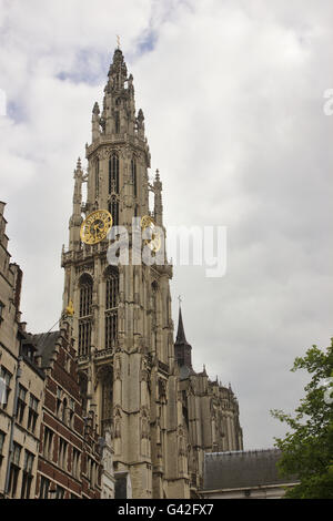 Cattedrale di Nostra Signora (Onze-Lieve-Vrouvekathedraal), Belgio, Anversa Foto Stock