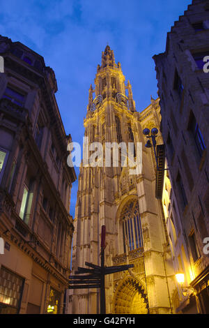 Cattedrale di Nostra Signora (Onze-Lieve-Vrouvekathedraal), illuminata di notte, Belgio, Anversa Foto Stock