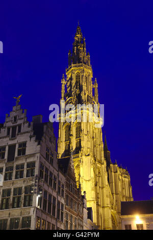 Cattedrale di Nostra Signora (Onze-Lieve-Vrouvekathedraal), illuminata di notte, Belgio, Anversa Foto Stock