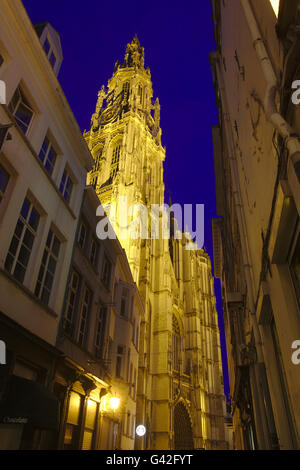 Cattedrale di Nostra Signora (Onze-Lieve-Vrouvekathedraal), illuminata di notte, Belgio, Anversa Foto Stock