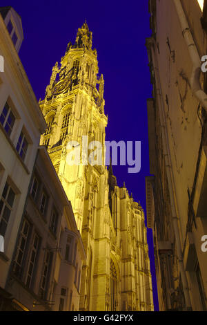 Cattedrale di Nostra Signora (Onze-Lieve-Vrouvekathedraal), illuminata di notte, Belgio, Anversa Foto Stock