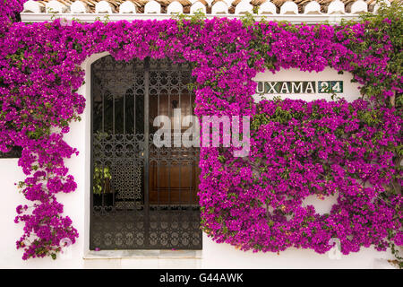 Il Bougainvillea spectabili, Bouganvilla e cancellata in ferro battuto. Pueblo Lopez, Fuengirola. Malaga Costa del Sol, Andalusia, Spagna Foto Stock