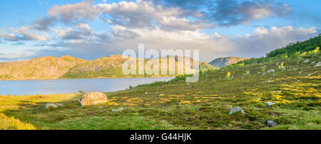 Tramonto sulla sommità di una collina, vicino alla riva di un lago norvegese in estate Foto Stock