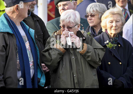 I membri del pubblico attendono il rimpatrio del caporale Stephen McKee del reggimento reale irlandese, attraverso Wootton Bassett. Foto Stock