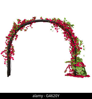 Pergola di metallo a forma di arco vista anteriore Foto Stock