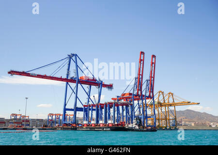 Colorato di gru per il carico e lo scarico nel porto di Malaga, terminale per contenitori, Andalusia, Spagna. Foto Stock