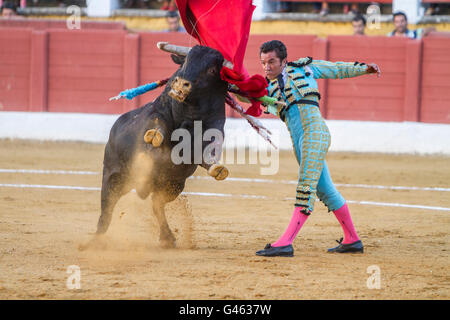 Il torero spagnolo El Fundi corrida con la stampella nella corrida di andujar, Spagna Foto Stock