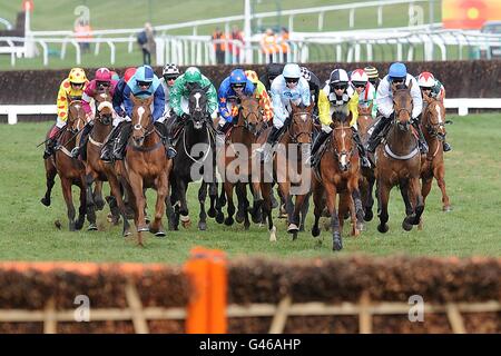 Corse di cavalli - Festival di Cheltenham 2011 - quattro giorni. Corridori e cavalieri durante l'ostacolo di Albert Bartlett Novices nella Gold Cup Day, durante il Cheltenham Festival. Foto Stock