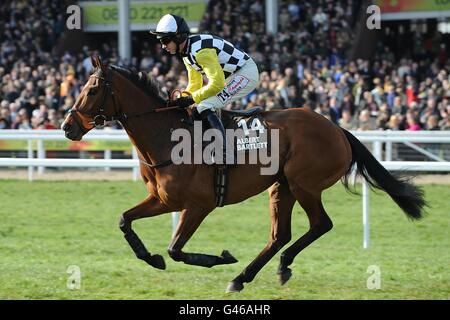 Nessun Secrets guidato da Wayne Hutchinson che sta andando a postare per l'ostacolo di Albert Bartlett Novices 'nella Gold Cup Day, durante il Cheltenham Festival. Foto Stock