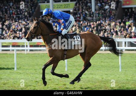 Unitevi insieme guidato da Ruby Walsh per pubblicare l'hurdle di Albert Bartlett Novices il giorno della Gold Cup, durante il Cheltenham Festival. Foto Stock