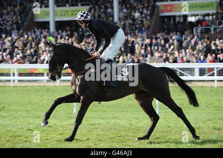 Court in Motion guidato da Jack Doyle che andrà a pubblicare per l'ostacolo di Albert Bartlett Novices in Gold Cup Day, durante il Cheltenham Festival. Foto Stock