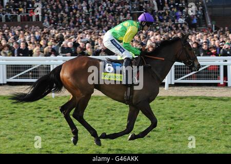 Kauto Star guidato da Ruby Walsh andando a postare per il totesport Cheltenham Gold Cup Chase in Gold Cup Day, durante il Cheltenham Festival. Foto Stock