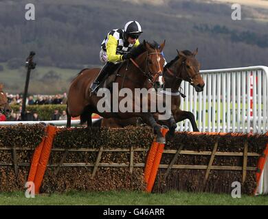 No Secrets indovinato da Wayne Hutchinson libera una recinzione durante l'ostacolo Albert Bartlett Novices nella Gold Cup Day, durante il Cheltenham Festival. Foto Stock