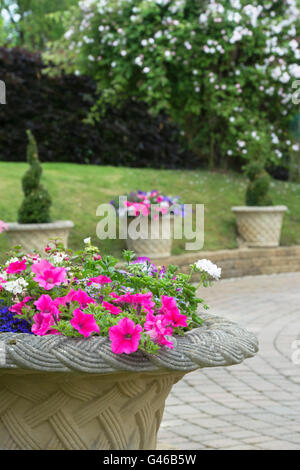 Flora urne di pietra in un giardino cottage. Ashton sotto la collina, Wychavon district, Worcestershire, Inghilterra Foto Stock