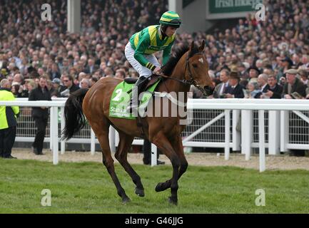 Horse Racing - 2011 Cheltenham Festival - Giorno Uno Foto Stock