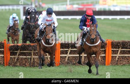 Barbs vale la pena di essere guidato da Barry Geraghty (all'estrema destra) sulla strada per vincere l'ostacolo di Albert Bartlett Novices nel giorno della Gold Cup, durante il Cheltenham Festival. Foto Stock