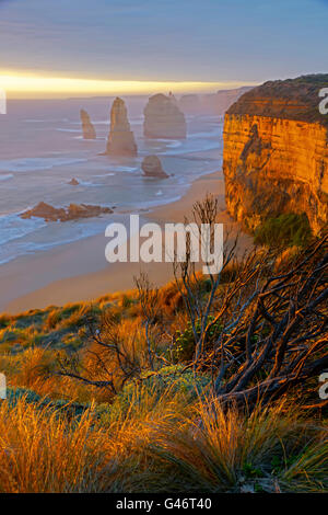 Dodici Apostoli lungo la Great Ocean Road sulla costa di Victoria, Australia. Foto Stock