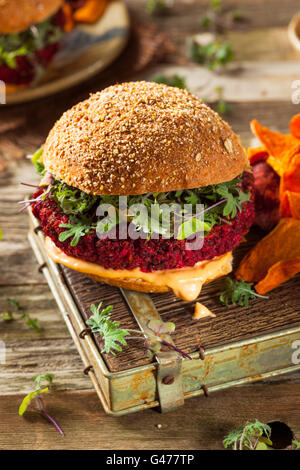 Un sano cotto rosso barbabietola Vegan Burger con Microgreens Foto Stock