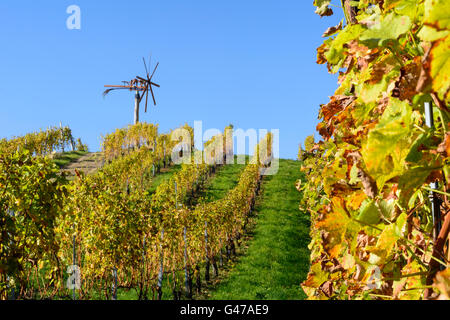 Vigneti e Klapotetz (vento ruota utilizzata come bird scarer) - Sud della Stiria Strada del Vino, Austria, Steiermark, Stiria, Südwest-Steier Foto Stock