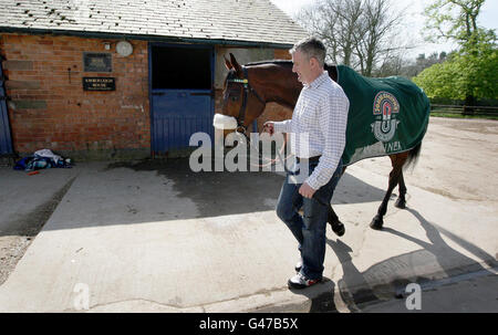 L'allenatore Donald McCain Jnr restituisce il vincitore del Grand National Ballabriggs alla sua scuderia dopo un Homecoming Photocall alle scuderie di Malpas, Cheshire, STAMPA ASSOCIATIOIN Photo. Data immagine: Domenica 10 aprile 2011. La vittoria è stata la prima in gara dell'allenatore Donald McCain. Suo padre Donald 'Ginger' McCain addestrò due cavalli a quattro vittorie nazionali, Red Rum 3 volte e Amberleigh House nel 2004. Il credito fotografico dovrebbe essere: Dave Thompson/PA Wire Foto Stock
