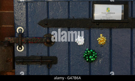 La porta stabile del grande vincitore nazionale Ballabriggs durante un Homecoming Photocall alle scuderie di Malpas, Cheshire, STAMPA ASSOCIATIOIN Photo. Data immagine: Domenica 10 aprile 2011. La vittoria è stata la prima in gara dell'allenatore Donald McCain. Suo padre Donald 'Ginger' McCain addestrò due cavalli a quattro vittorie nazionali, Red Rum 3 volte e Amberleigh House nel 2004. Il credito fotografico dovrebbe essere: Dave Thompson/PA Wire Foto Stock