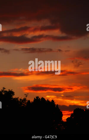 Colori vividi come i tramonti di Wanstead, East London Foto Stock