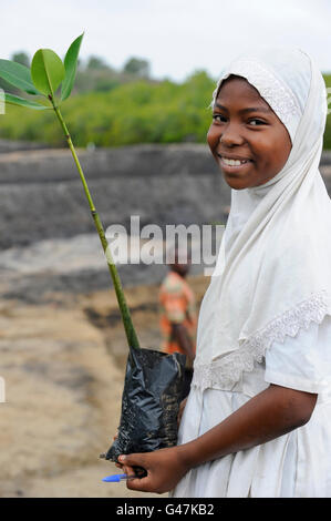 KENYA Mombasa, villaggio Majaoni, i bambini della scuola di ambiente club giovani pianta mangrove durante il sentiero escursione alla fascia costiera per il clima e la protezione delle coste per prevenire erosione del mare, la creazione di una consapevolezza ambientale Foto Stock