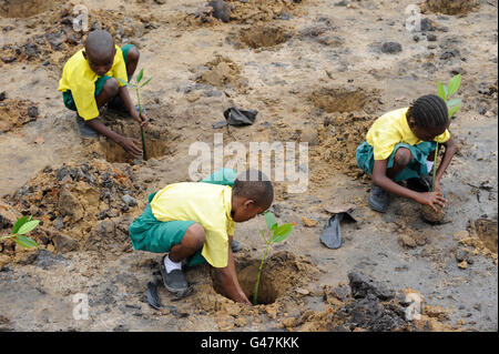 KENYA Mombasa, villaggio Majaoni, i bambini della scuola di ambiente club giovani pianta mangrove durante il sentiero escursione alla fascia costiera per il clima e la protezione delle coste per prevenire erosione del mare, la creazione di una consapevolezza ambientale Foto Stock