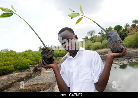 KENYA Mombasa, villaggio Majaoni, i bambini della scuola di ambiente club giovani pianta mangrove durante il sentiero escursione alla fascia costiera per il clima e la protezione delle coste per prevenire erosione del mare, la creazione di una consapevolezza ambientale Foto Stock