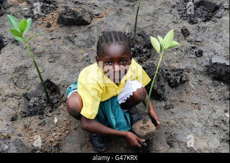 KENYA Mombasa, villaggio Majaoni, i bambini della scuola di ambiente club giovani pianta mangrove durante il sentiero escursione alla fascia costiera per il clima e la protezione delle coste per prevenire erosione del mare, la creazione di una consapevolezza ambientale Foto Stock