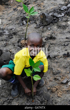 KENYA Mombasa, villaggio Majaoni, i bambini della scuola di ambiente club giovani pianta mangrove durante il sentiero escursione alla fascia costiera per il clima e la protezione delle coste per prevenire erosione del mare, la creazione di una consapevolezza ambientale Foto Stock