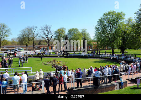 Horse Racing - Molla e per il divertimento di tutta la famiglia giorno - Lingfield Park Racecourse Foto Stock