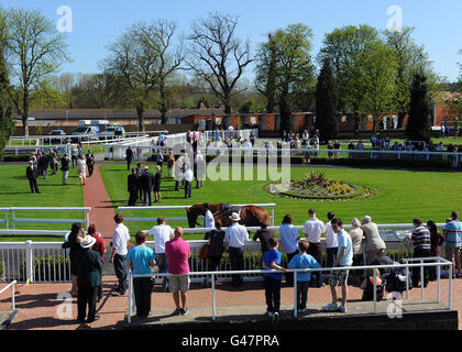 Horse Racing - Molla e per il divertimento di tutta la famiglia giorno - Lingfield Park Racecourse Foto Stock