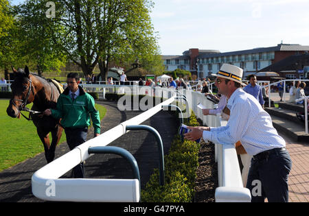 I Racegoers dai un'occhiata ai cavalli nel Parade Ring all'indirizzo Ippodromo di Lingfield Park Foto Stock