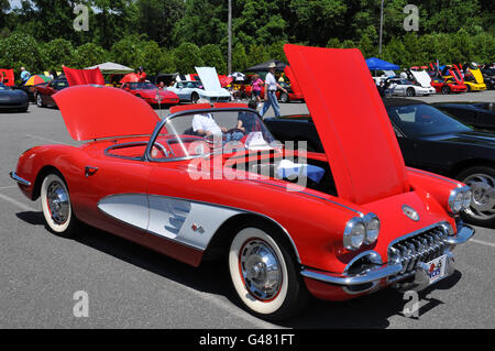 Un 1960 Chevrolet Corvette in un auto show. Foto Stock