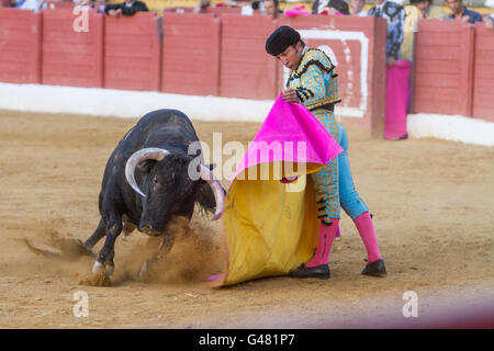 Il torero spagnolo El Fundi corrida con la stampella nella corrida di andujar, Spagna Foto Stock