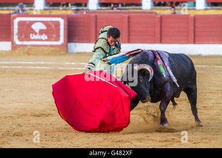 Il torero spagnolo El Fundi corrida con la stampella nella corrida di andujar, Spagna Foto Stock