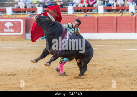 Il torero spagnolo El Fundi corrida con la stampella nella corrida di andujar, Spagna Foto Stock