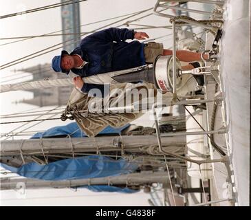 Ambiente Antartide/Swan Foto Stock