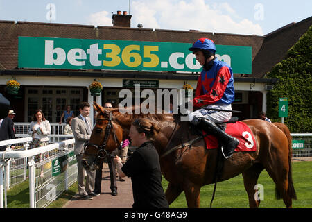 Jockey Aidan Coleman sul Jigsaw Man è condotto in Il recinto del vincitore dopo aver vinto l'ostacolo del bet365.com Foto Stock