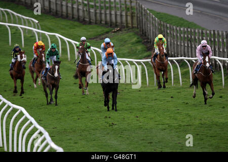 Horse Racing - Catterick Racecourse Foto Stock