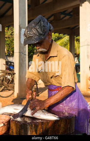 Sri Lanka, Mirissa Harbour, lavoratore tagliare il pesce in vendita in piccole quantità Foto Stock