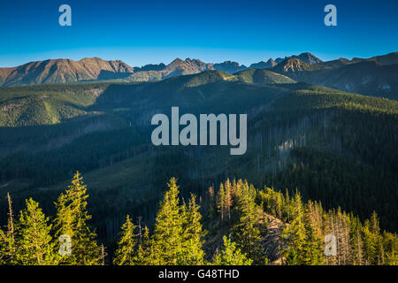 Vista dei monti Tatra dal sentiero escursionistico. La Polonia. L'Europa. Foto Stock