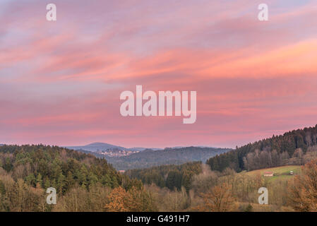 Al tramonto e la sera-rosso nella foresta bavarese con vista della montagna Lusen Foto Stock