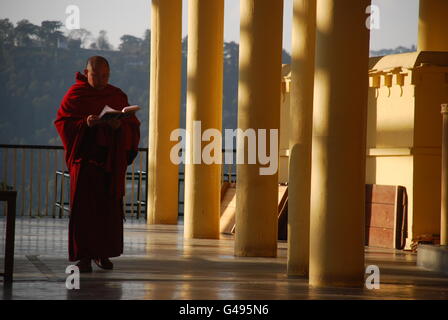 I monaci buddisti in Dharamshala, India Foto Stock