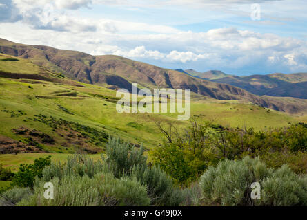 Molla del Nord vista del Payette River Valley con nuvole e sole, Idaho, 2016. Foto Stock