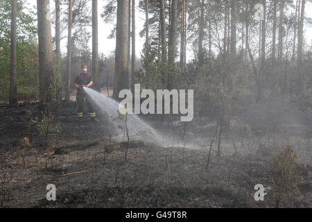 I vigili del fuoco lavorano su un fuoco nella foresta di Swinley vicino a Crowthorne, Berkshire che stanno bruciando per parecchi giorni. Foto Stock